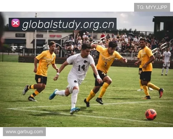 ✅体育直播🏆世界杯直播🏀NBA直播⚽- 中国海警局代表团赴韩国参加中韩海警第七次高级别会晤- sports